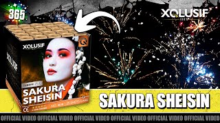 Sakura Sheisin vuurwerk  XQlusif  25 schots cake met sakura in verschillende kleuren [upl. by Eilhsa]