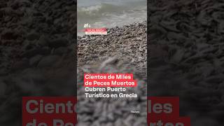 Cientos de miles de peces muertos cubren puerto turístico en Grecia  N Shorts [upl. by Lleroj]