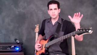 2Minute Bass Lesson Palm Muting [upl. by Landre]