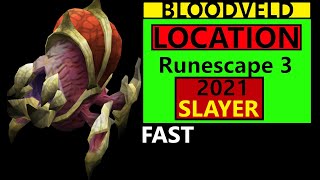 Runescape 3 Bloodveld Location amp Guide Slayer task rs3 Updated 2021 [upl. by Itoyj]