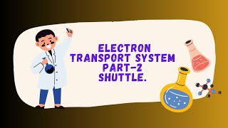 Electron Transport System  Shuttle Biochemistry [upl. by Yhtac192]