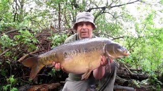 Carp fishing in Hampshire [upl. by Sol242]