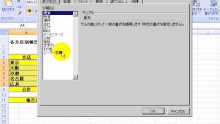 データ内容と書式設定193  エクセル2007Excel2007動画解説 [upl. by Alberik]