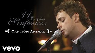 Gustavo Cerati  Canción Animal 11 Episodios Sinfónicos Official Video [upl. by Adil]