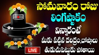 సోమవారం రోజు లింగాష్టకం మీ ఇంట్లో ధ్వనిస్తే మాహా శివుని కృప మీ పై ఉంటుంది [upl. by Oakes]