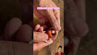 KERANG MUTIARA fishing animals [upl. by Dixon681]