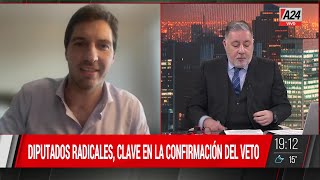 🔴quotSERÍA MEJOR QUE SE SINCEREN SI QUIEREN DEJAR EL PARTIDOquot Adriano Morone de la Juventud Radical [upl. by Sakiv]