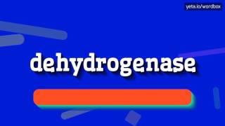 HOW TO PRONOUNCE DEHYDROGENASE [upl. by Suter]