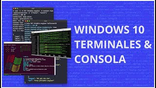 Consolas y Terminales en Windows 10  Cmder Git Bash Windows Terminal Cygwin [upl. by Bever548]