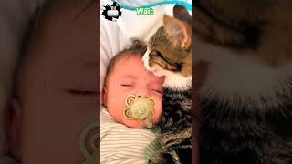 cute baby and cat emotion ytshorts virababy comedy [upl. by Salinas952]