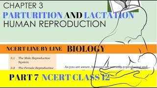 Part7 HUMAN REPRODUCTION PARTURITION AND LACTATION chapter3 NCERT class 12th biology [upl. by Eilrahs353]