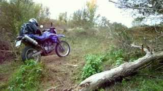 THE RIVERSIDE Yamaha XT660R [upl. by Oler]