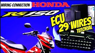 HONDA RS150 ECU 29 WIRES CONNECTION TUTORIAL  HONDA RS 150 ECU WIRING DIAGRAM [upl. by Yarled]