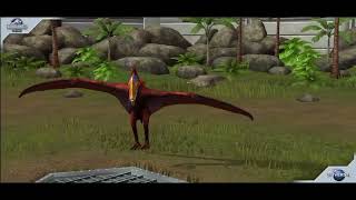 Ornithocheirus trong jurassic world the game [upl. by Naujud755]