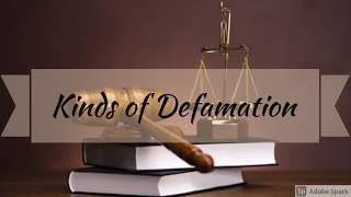 Kinds of Defamation  Defamation  Tort Law  Easy way  in Hindi [upl. by Candless]