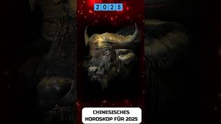 Büffel Chinesisches Horoskop für 2025 [upl. by Adamsun]