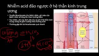 Hyperglycemic crisis Part 2  Điều trị toan ketone đái tháo đường [upl. by Deyes]