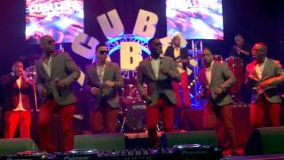 GEWOON WEG MA STIMA Cache Royale Ft Clifton End Live  Cuba Libre 2013 [upl. by Lyrehs]