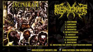 Incinerate  Anatomize FULL ALBUM 1080p HD [upl. by Yenal776]