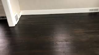 Hardwood Flooring Refinishing Ebony Stain [upl. by Caitrin]