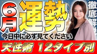 【星ひとみ】2024年6月の運勢を徹底解説！天星術占い12タイプ別！今日中に見ないと損します。 [upl. by Towrey]