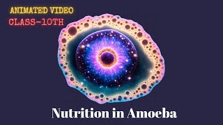 Nutrition in Amoeba Class10 [upl. by Joslyn]