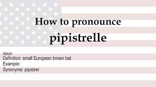 How to pronounce pipistrelle  meaning [upl. by Younger570]