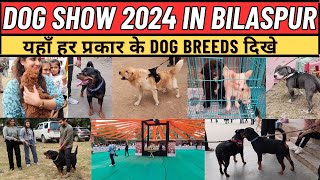 Biggest Dog Show In Chhattisgarh  Bilaspur Dog Show 2024 [upl. by Branscum]