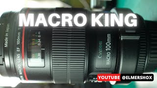 Canon Macro King 100mm 28 IS stunning closeup capabilities and sharpness [upl. by Corder343]