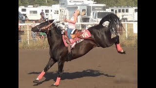 Barrel Racing series 3 from McHenry County Saddle Club [upl. by Aneerbas897]