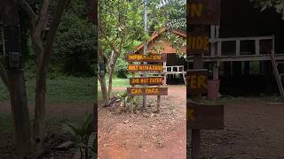 Tham Khao Mai Khew Koh Lanta Thailand Open 130 PM travel thailand cave [upl. by Ellenrad]