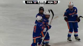 12U Blue Tricity Eagles vs New Jersey Bandits 11022024 [upl. by Andeee924]