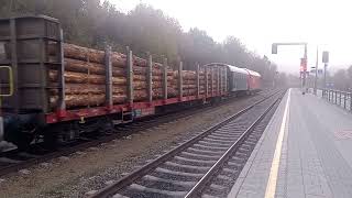 Güterzug nach hohenberg fährt kurz nach 700 aus traisen ab am 28102024 [upl. by Malik]