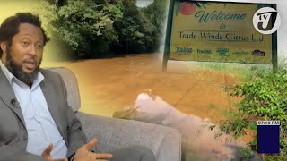 NEPA Drops Case Against Trade Winds Citrus for Rio Cobre Oil Spill  TVJ News [upl. by Nojed954]