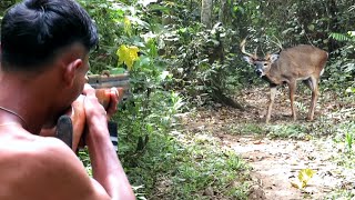 Full video  3 days of hunting for deer wild boars amp wild squirrels requires struggle [upl. by Eadahs]