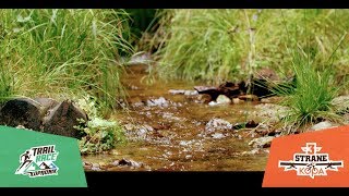 Tri strane Kopaonika  Trail race Kopaonik  2018 [upl. by Lupien713]