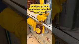 les 4 plus grands producteurs de miel en Afriquemielhoneyafriqueeuropefranceapicultureabeille [upl. by Mossberg]