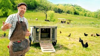 How to Get Started with Chickens Everything you need to know [upl. by Pasol]