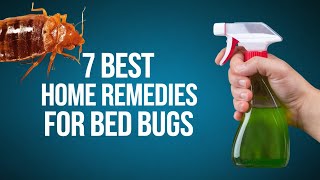 7 Effective Home Remedies for Bed Bugs [upl. by Aisyram179]