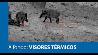 ¡A fondo Presentamos dos visores térmicos de Pard [upl. by Lytton]