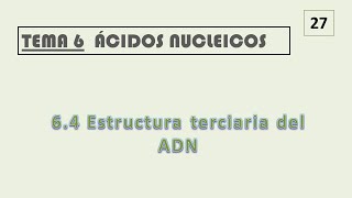 64 ESTRUCTURA TERCIARIA DEL ADN [upl. by Boesch]