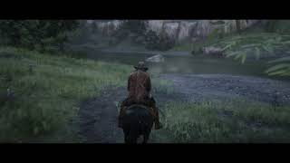 Red Dead Redemption 2 Online  Treasure Map Location Bards Crossing [upl. by Annaig]