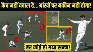 कैच नहीं बवाल हैआंखों पर यकीन नहीं होगा  Glenn Phillips Take An Amazing Catch Vs England [upl. by Juley779]