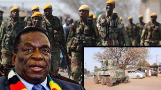 WatchHeavily Armed Soldiers Deployed In Residential Areas As President Mnangagwa Hosts SADC Summit [upl. by Lachman]