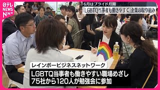 【6月は「プライド月間」】「LGBTQ当事者も働きやすく」… 企業の取り組みを取材 [upl. by Hokanson392]