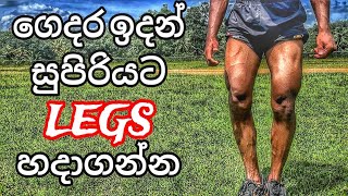 කකුල් දෙකටත් රිදෙන්න ගහන්න LEG WORKOUT at Home [upl. by Atika]