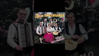 Die Fidelen Birkenhainer volksmusik  polka  oberkrainer  viral  shorts [upl. by Checani221]