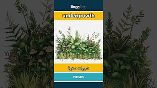 🇬🇧🇪🇬 undergrowth  شجيرات صغيرة  دعنا نتعلم الإنجليزية [upl. by Ruenhcs]