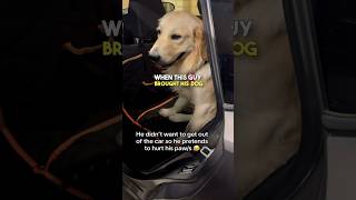 Dog Fakes Injury to Avoid Vet 😂 [upl. by Yrkcaz39]