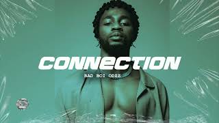 quotCONNECTIONquot Omah Lay X Buju X Rema Type Beat Afrobeat type beat 2024 [upl. by Brenner811]